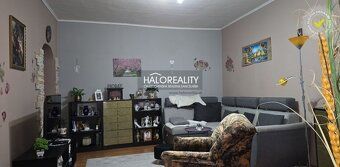 Agencja nieruchomości HALO Reality i Rudolf Danics
