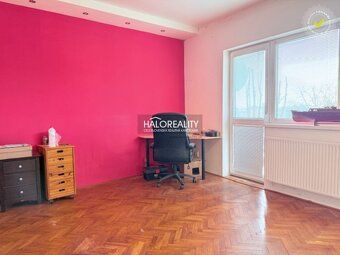 Real Estate Agency HALO Reality and Tomáš Tipcsák, contact