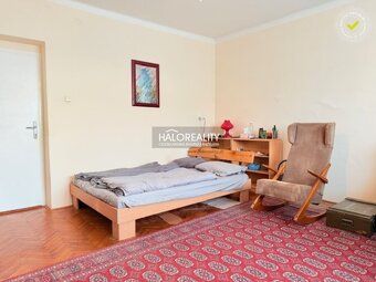 Real Estate Agency HALO Reality and Tomáš Tipcsák, contact