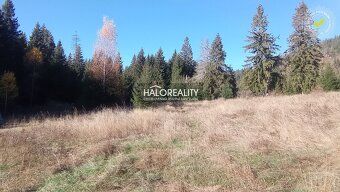 Агентство нерухомості HALO reality та Анна Ямбрушова