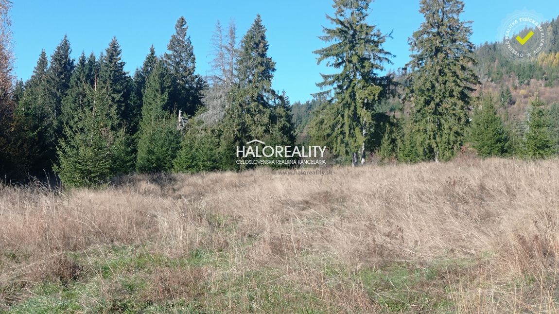 Агентство нерухомості HALO reality та Анна Ямбрушова