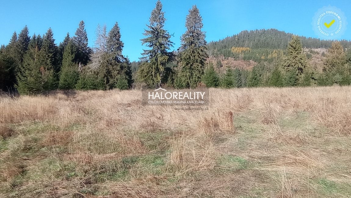 Агентство нерухомості HALO reality та Анна Ямбрушова