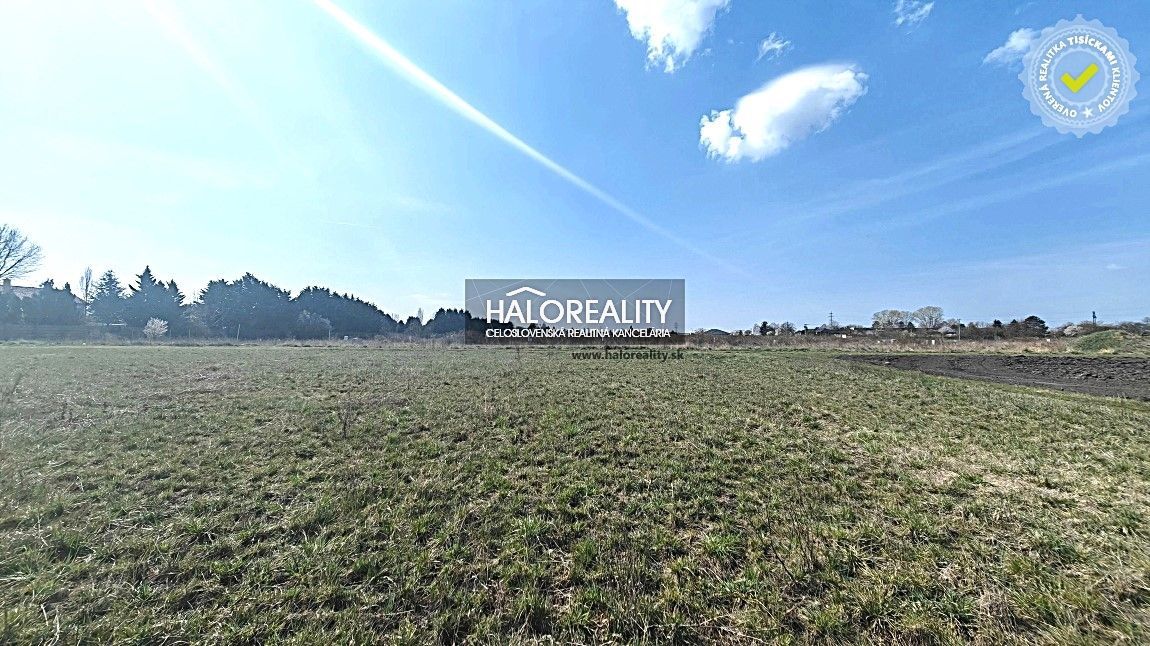 Нерухомість агенція HALO і Андрія Коварчікова, контакт