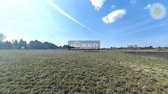 Нерухомість агенція HALO і Андрія Коварчікова, контакт