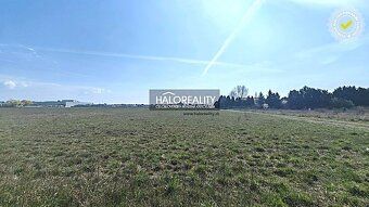 Нерухомість агенція HALO і Андрія Коварчікова, контакт
