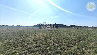Нерухомість агенція HALO і Андрія Коварчікова, контакт