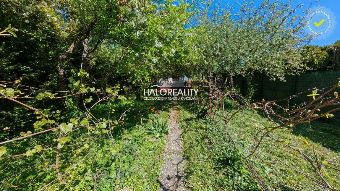 Realitní kancelář HALO reality a Peter Cifrík, kontakt