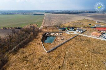 Агентство нерухомості HALO reality та Іван Сальчерова