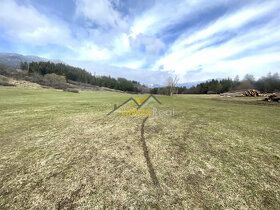 prodám stavební pozemek Stošice/Beňadiková výměra 3748 m2