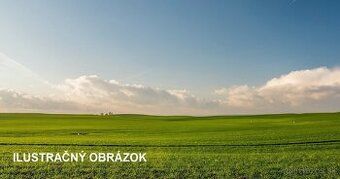 TOCA real – EKSKLUZYWNIE – oferujemy na sprzedaż dużą i