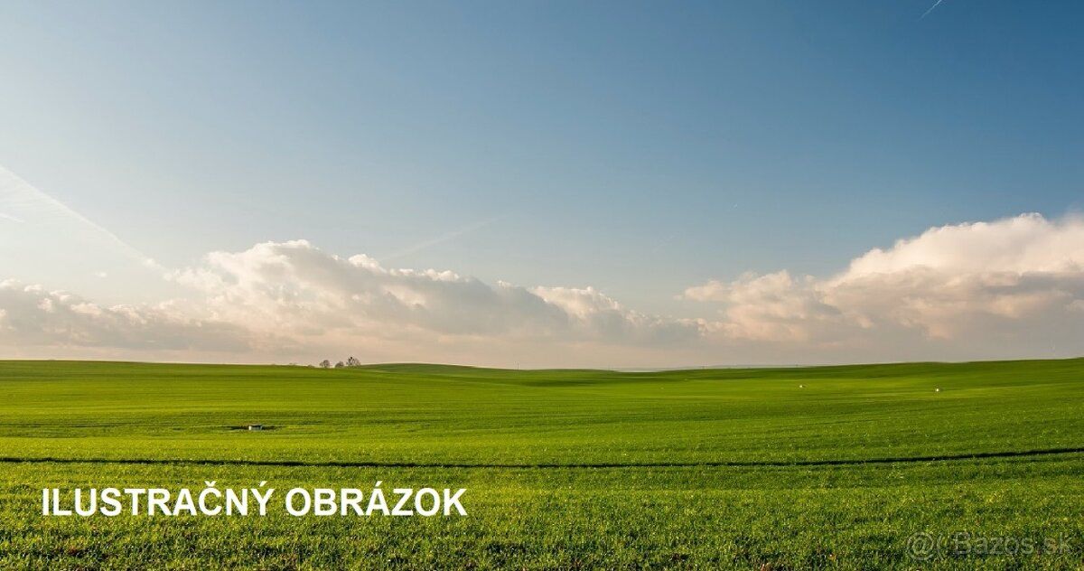TOCA real – EKSKLUZYWNIE – oferujemy na sprzedaż dużą i