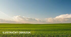 TOCA real – EKSKLUZYWNIE – oferujemy na sprzedaż dużą i