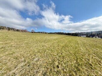 - 1600 m2 - droga dojazdowa asfaltowa - płaska działka