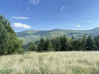- 1600 m2 - droga dojazdowa asfaltowa - płaska działka