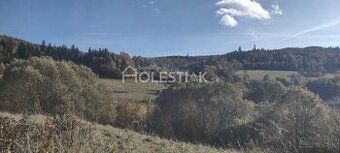 - 1600 m2 - droga dojazdowa asfaltowa - płaska działka