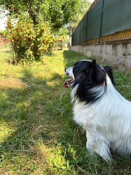 🏡 Prožil jsem století a hledám nového partnera pro další
