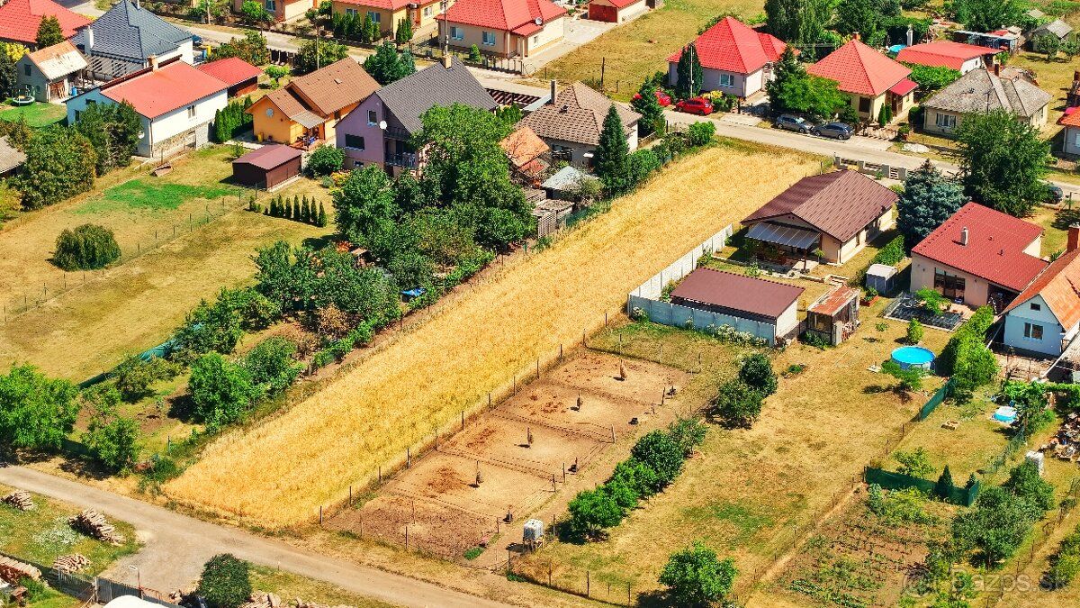 🌾 Aktualnie uprawiam zboże, ale czekam na nowego