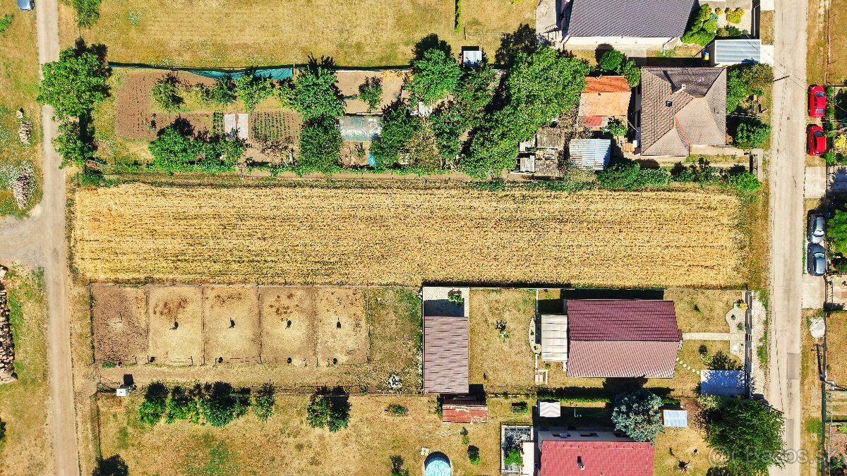 🌾 I am currently growing grain crops but waiting for a new