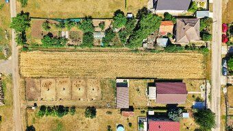 🌾 I am currently growing grain crops but waiting for a new