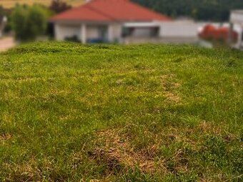 🌾 I am currently growing grain crops but waiting for a new
