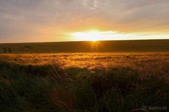 🌾 I am currently growing grain crops but waiting for a new