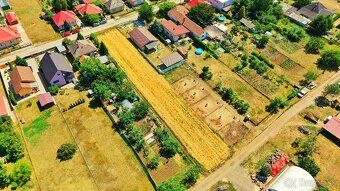 🌾 I am currently growing grain crops but waiting for a new