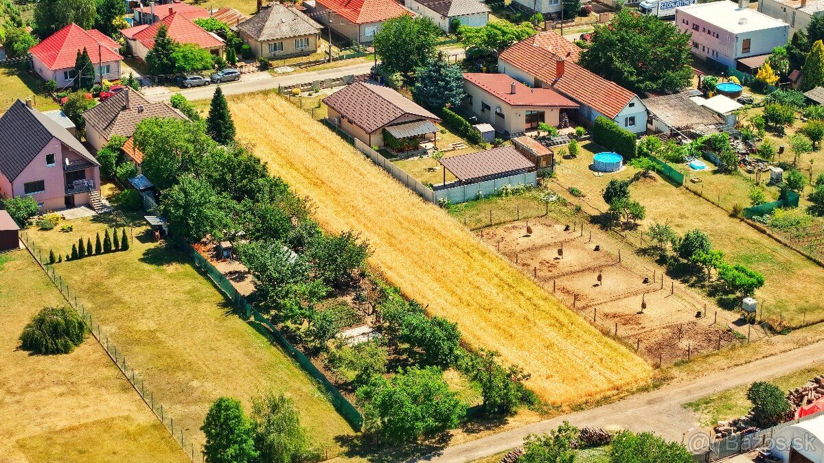 🌾 I am currently growing grain crops but waiting for a new