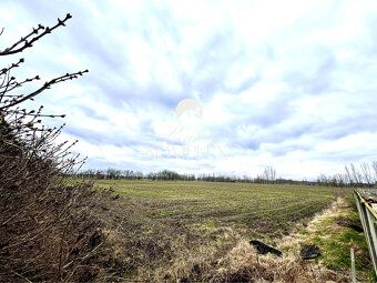 Rodzaj: Użytki rolne Ulica: Velke Dvorniky Gmina: Velke