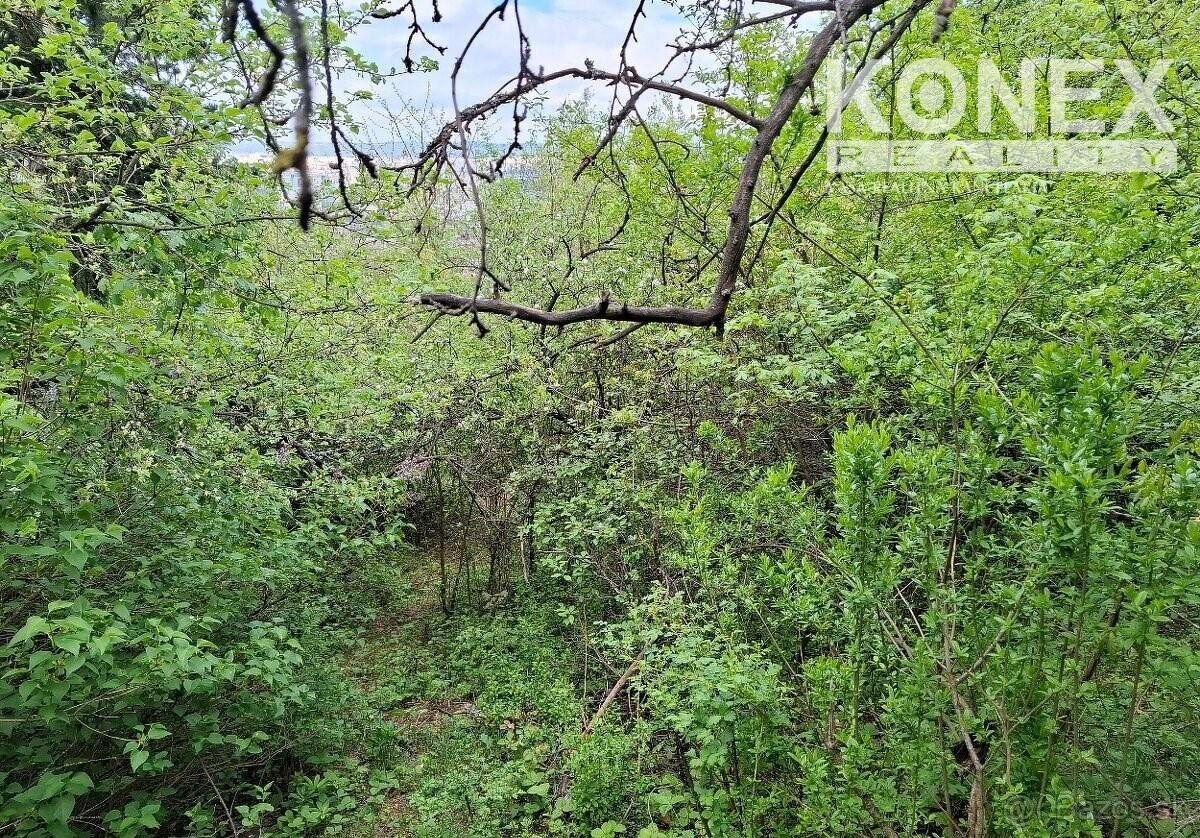 ID:4035 We offer for sale a garden in the locality Nizna