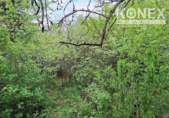 ID:4035 We offer for sale a garden in the locality Nizna
