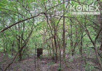ID:4035 We offer for sale a garden in the locality Nizna