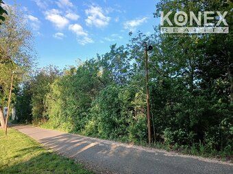 ID:4066 W wyłącznej reprezentacji właściciela oferujemy na
