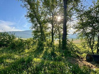 Na prodej nabízíme prostorný pozemek o ploše 2605 m² v obci
