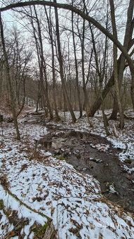 Typ: Działki - dla domów jednorodzinnych Ulica: Pod skalą
