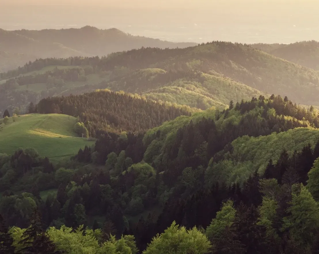 Společnost Slovak Estate s.r.o. nabízí k prodeji lesní