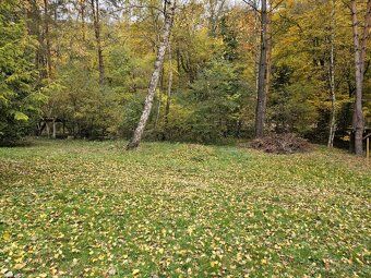 Recreational land, 717 m², Horné Bzince - Cetuna For sale