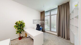 Агентство нерухомості HALO reality та Марцела Базалова