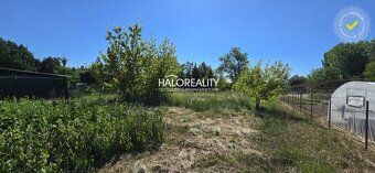 Агентство нерухомості HALO reality та Михайло Йожа