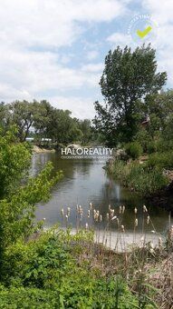 Агентство нерухомості HALO reality та Михайло Йожа