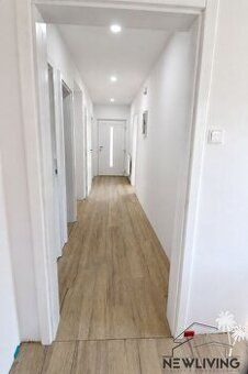 Stavíme pro vás - výstavbu moderního zděného rodinného domu