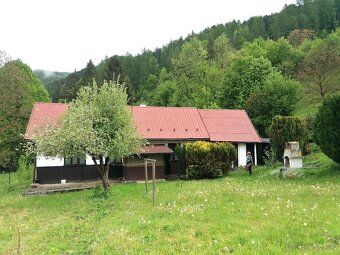 Prodávám menší rodinný dům s krásným velkým pozemkem 1228