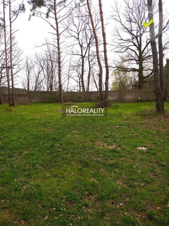 Real Estate Agency HALO Reality and Mgr. Beata Ninisova