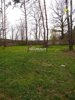 Real Estate Agency HALO Reality and Mgr. Beata Ninisova