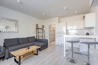 We offer for rent a one-bedroom apartment of 43 m2 in the