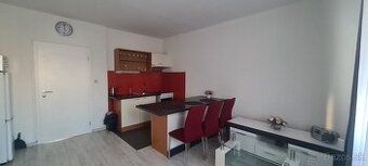 We offer for rent a one-bedroom apartment of 43 m2 in the