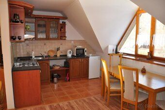 Do wynajęcia umeblowane mieszkanie o powierzchni 100 m² z