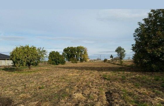 Reduced price! DAJARealty has an interesting land lot
