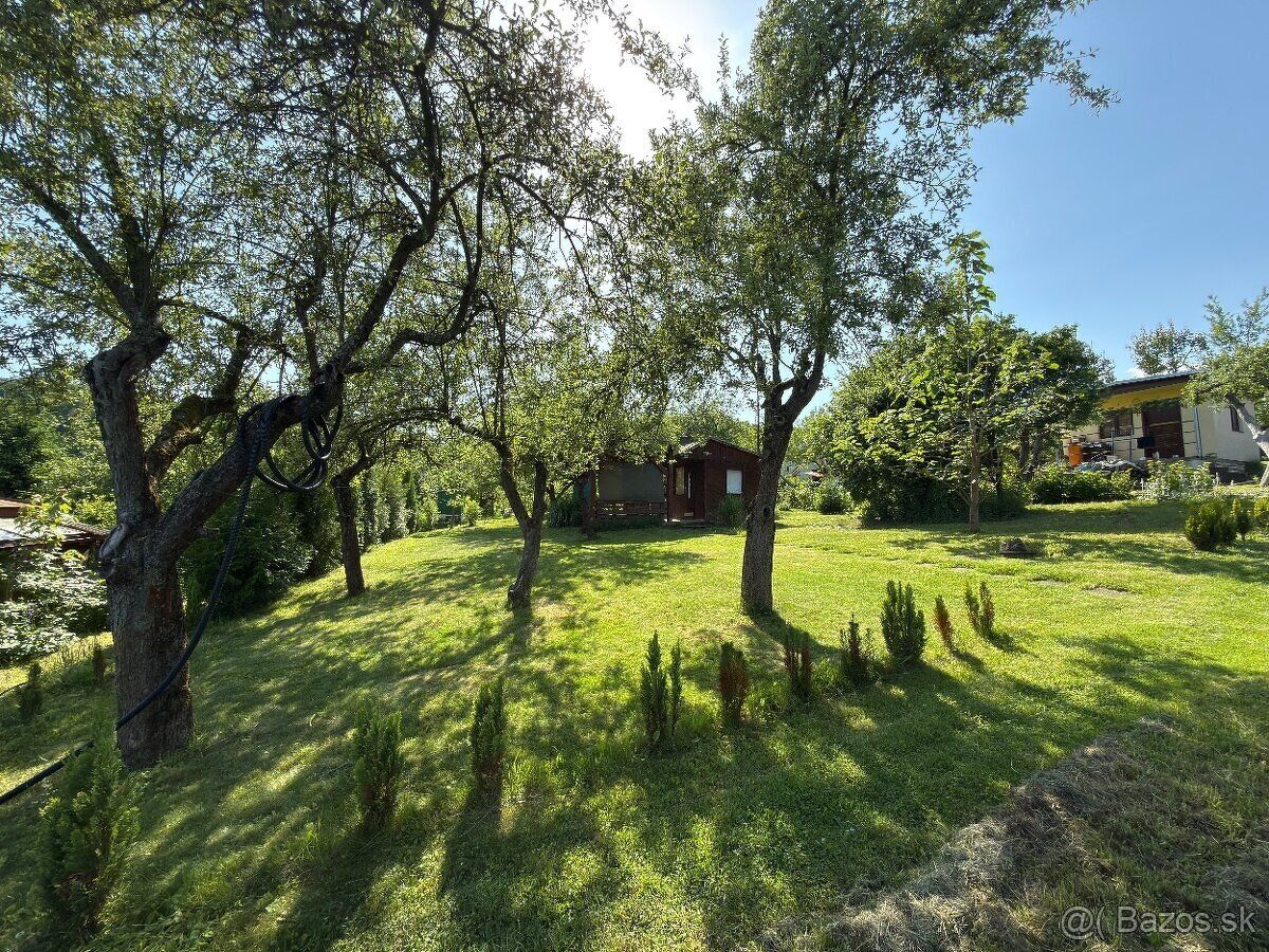 I am selling a well-maintained garden behind the swimming