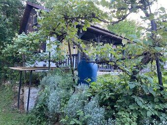 I am selling a well-maintained garden behind the swimming