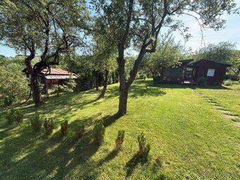 I am selling a well-maintained garden behind the swimming